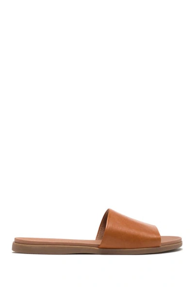 Shop Steve Madden Kailey Slide Sandal In Cognac Leather
