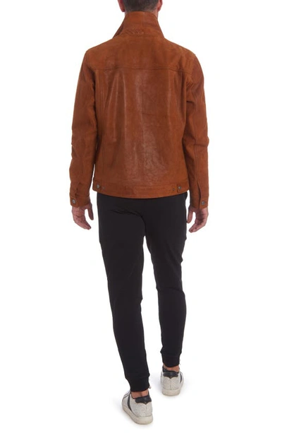 Shop Pino By Pinoporte Leather Jacket In Cognac