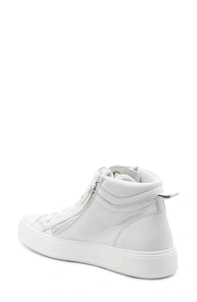 Ara Camden High Top Sneaker In White Calf