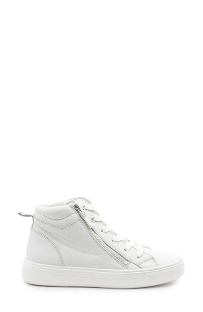 Ara Camden High Top Sneaker In White Calf