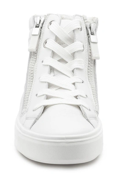 Ara Camden High Top Sneaker In White Calf