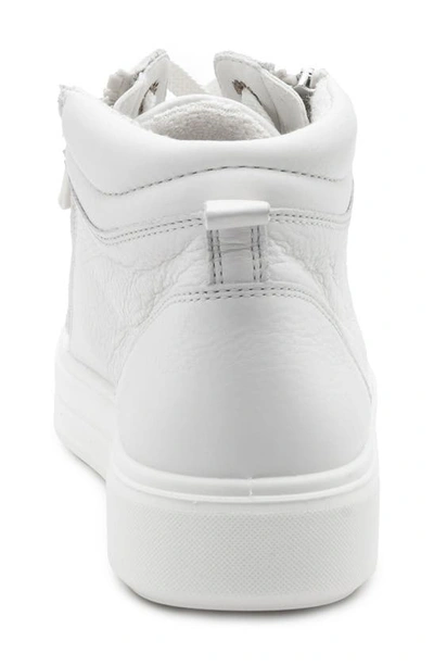 Ara Camden High Top Sneaker In White Calf