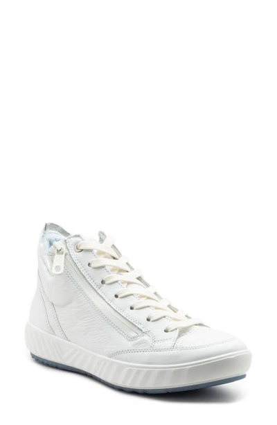 Shop Ara Aurora High Top Sneaker In White Calf