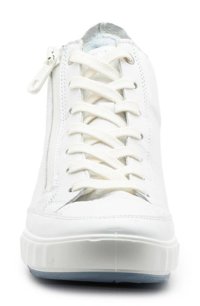 Shop Ara Aurora High Top Sneaker In White Calf