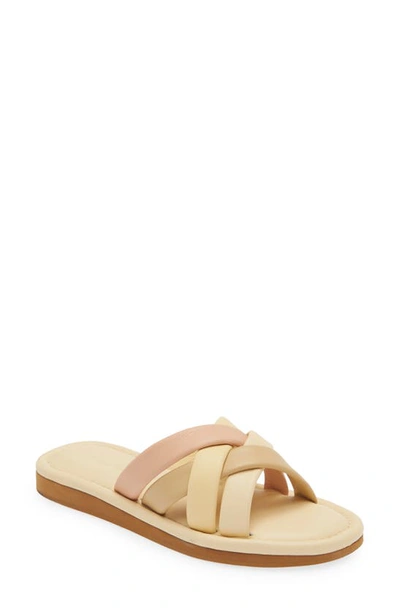 Shop Madewell Francine Puffy Woven Slide Sandal In Buttered Scone Multi