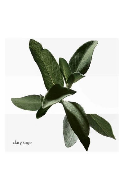 Hermes Hermès H24 In Regular