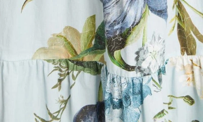 Shop Erdem Abilene Floral Print Cotton Poplin Shirtdress In Blue/ Multi