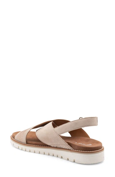 Ara Kiki Rhinestone Slingback Sandal In Sand Suede