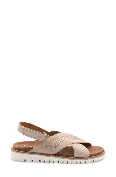 Ara Kiki Rhinestone Slingback Sandal In Sand Suede