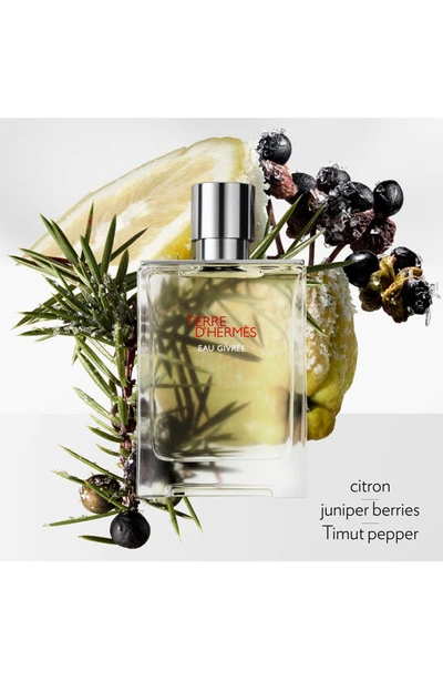 Hermes Terre D'hermès Eau Givrée In Regular