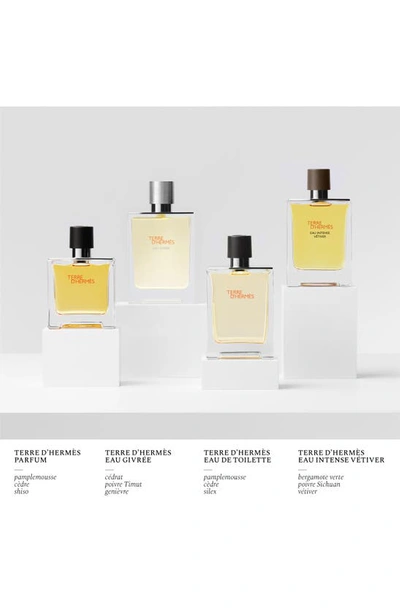 Hermes Terre D'hermès Eau Givrée In Regular