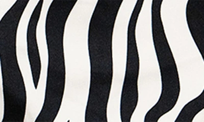 Shop Monfrere Cruise Zebra Stripe Chino Shorts