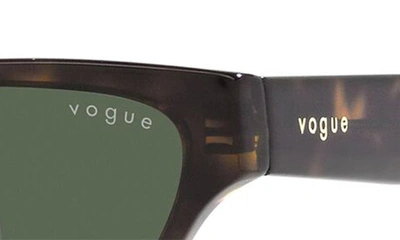Shop Vogue 52mm Cat Eye Sunglasses In Dk Havana