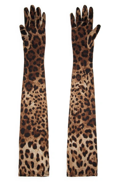 Shop Dolce & Gabbana Leopard Print Stretch Silk Gloves In Lt Brown Print