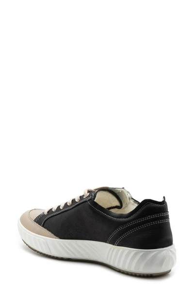 Shop Ara Aurora Zip Sneaker In Beige/black Leather