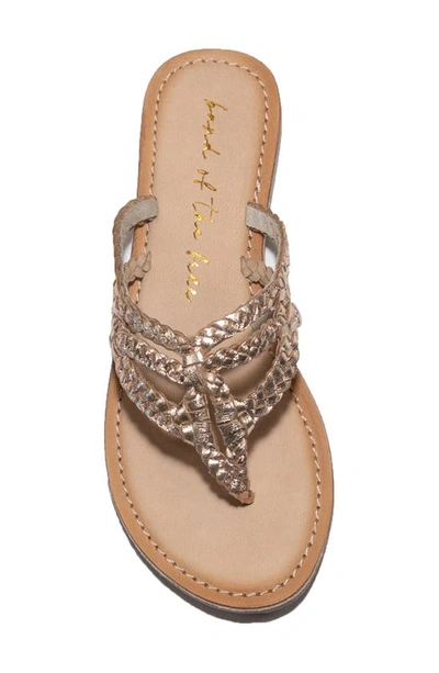 Shop Band Of Gypsies Vela Braided Strappy Sandal In Rose Gold
