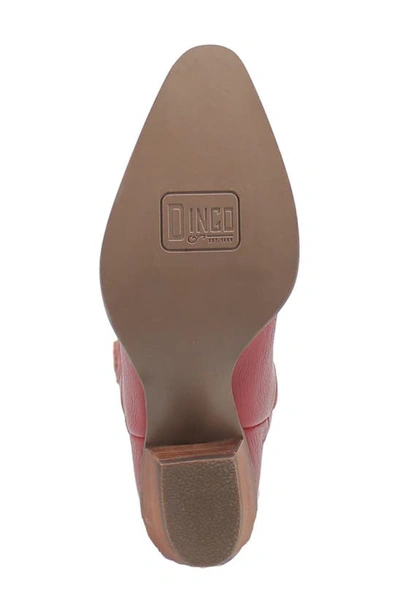 Dingo Knee High Western Boot In Red