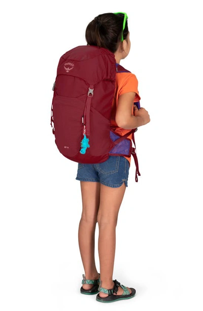 Shop Osprey Kids' Jet 18 Backpack In Cosmic Red