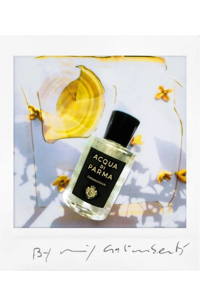 Shop Acqua Di Parma Osmanthus Eau De Parfum, 3.4 oz