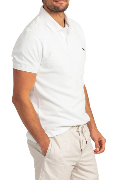 Shop Rodd & Gunn Gunn Piqué Sports Fit Cotton Polo In Coconut