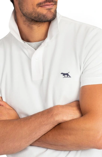 Shop Rodd & Gunn Gunn Piqué Sports Fit Cotton Polo In Coconut