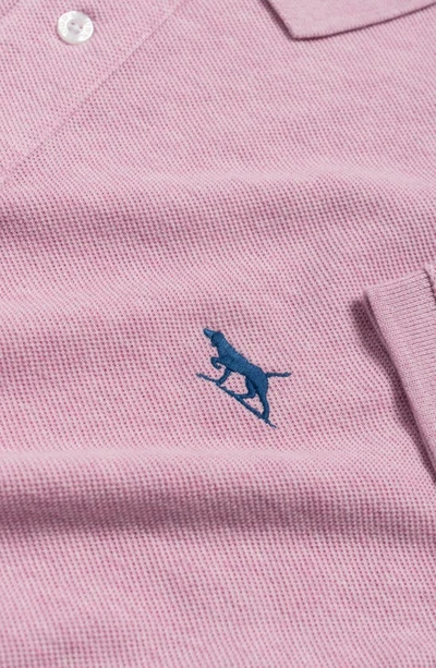 Shop Rodd & Gunn Gunn Piqué Sports Fit Cotton Polo In Lotus