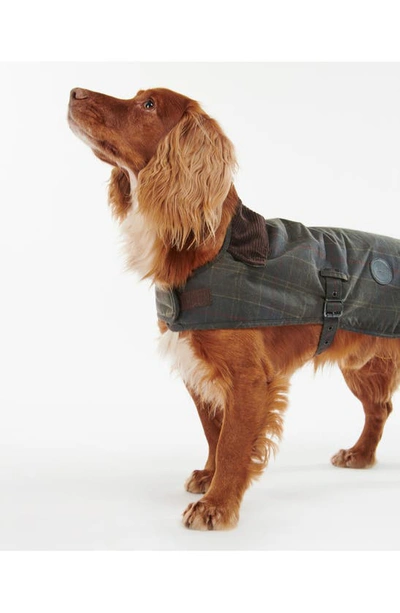Shop Barbour Waxed Cotton Dog Coat In Classic Tartan