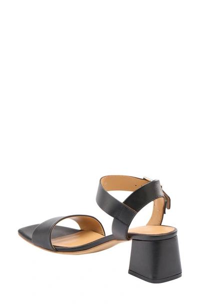 Shop Nisolo Ankle Strap Sandal In Black