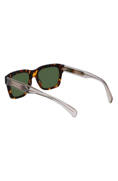 Shop Ferragamo 56mm Polarized Rectangular Sunglasses In Dark Tortoise