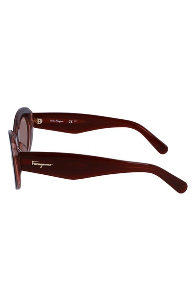 Shop Ferragamo 53mm Oval Sunglasses In Brown/ Nude