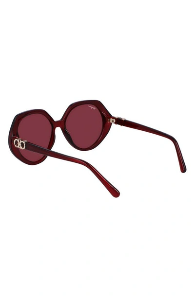 Shop Ferragamo 58mm Modified Oval Sunglasses In Transparent Burgundy
