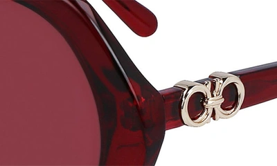 Shop Ferragamo 58mm Modified Oval Sunglasses In Transparent Burgundy