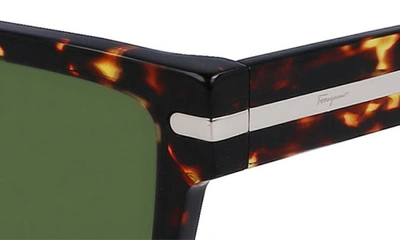Shop Ferragamo 54mm Polarized Rectangular Sunglasses In Dark Tortoise
