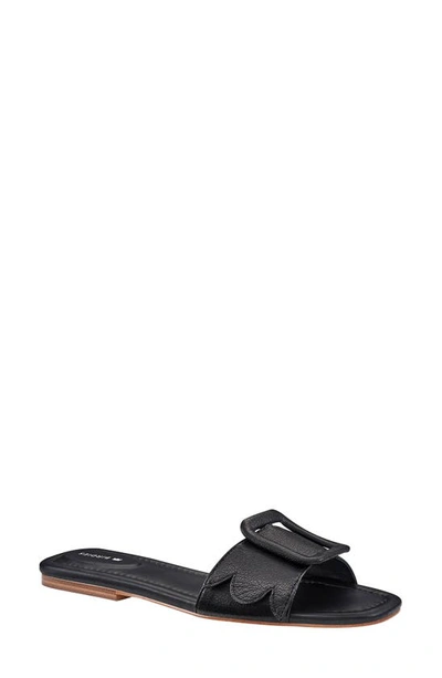 Shop Birdies Kiwi Slide Sandal In Black Leather
