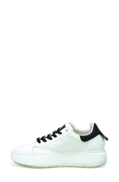 Shop As98 Hannie Sneaker In White-black