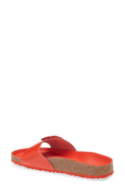 Shop Birkenstock Madrid Big Buckle Slide Sandal In Tomato