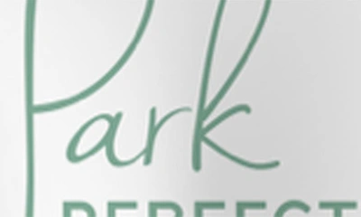 Park Perfection Tinted Pore Minimizing Perfector