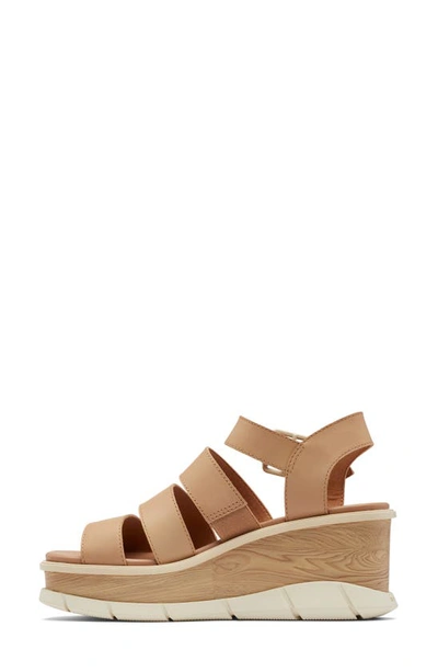 Shop Sorel Joanie Iii Ankle Strap Wedge Platform Sandal In Honest Beige/ Chalk