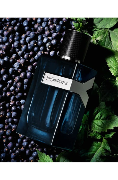 Saint Laurent Yves  Y Eau De Parfum Intense