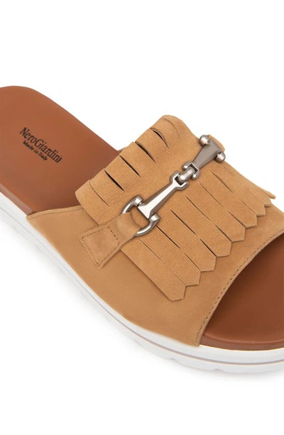 Shop Nerogiardini Horsebit Kiltie Slide Sandal In Cognac