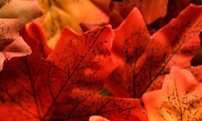 Chris Collins Autumn Rhythm Extrait De Parfum