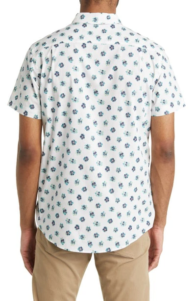 Shop Rodd & Gunn Cobden Grove Sport Fit Floral Short Sleeve Cotton Button-up Shirt In Aqua