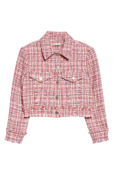 Shop Alice And Olivia Chloe Crop Tweed Shirt Jacket In Candy Multi