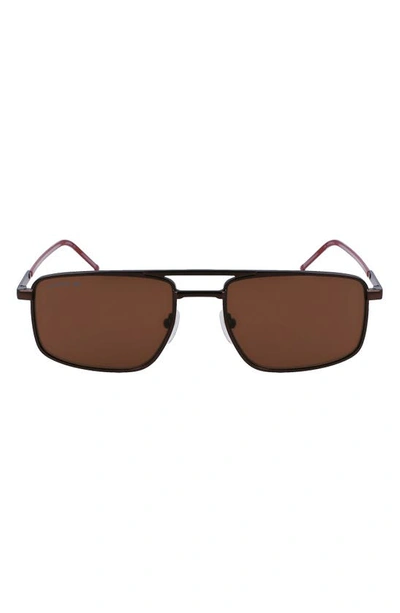 Shop Lacoste 56mm Rectangular Sunglasses In Matte Brown