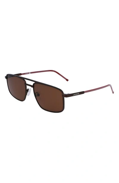 Shop Lacoste 56mm Rectangular Sunglasses In Matte Brown