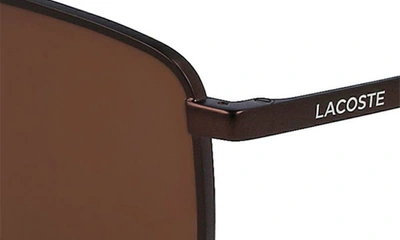Shop Lacoste 56mm Rectangular Sunglasses In Matte Brown