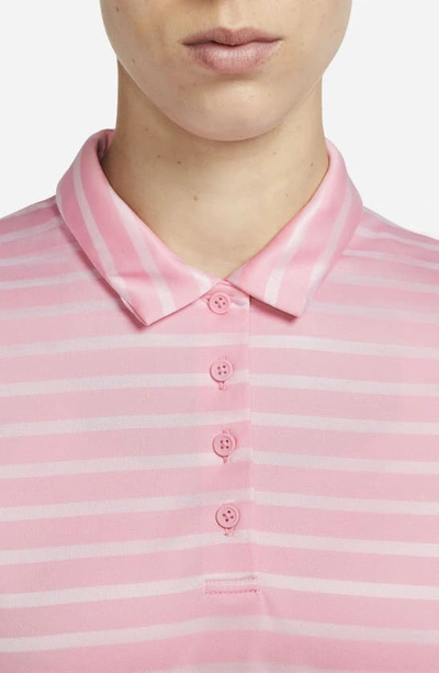 Shop Nike Victory Dri-fit Stripe Polo In Medium Soft Pink/ Black