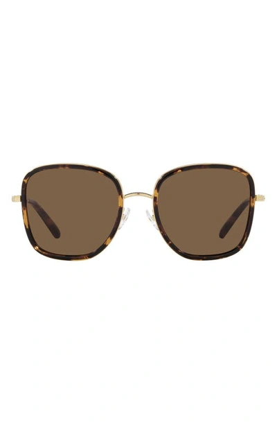 Shop Tory Burch 53mm Square Sunglasses In Dk Tort