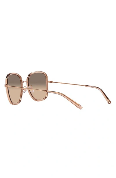Shop Tory Burch 53mm Square Sunglasses In Trans Peach