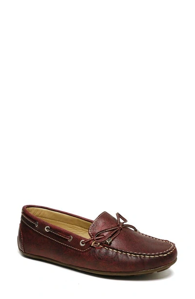 Shop Driver Club Usa Nantucket Tie Driving Loafer In Bordo Stone